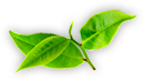 华体会官网 - 真人视讯娱乐平台