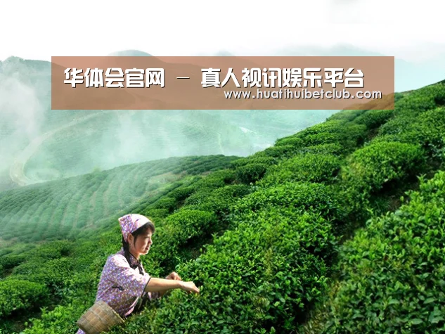 华体会官网 - 真人视讯娱乐平台