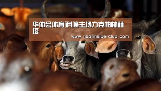 华体会体育|科隆主场力克柏林赫塔(图2) 华体会娱乐