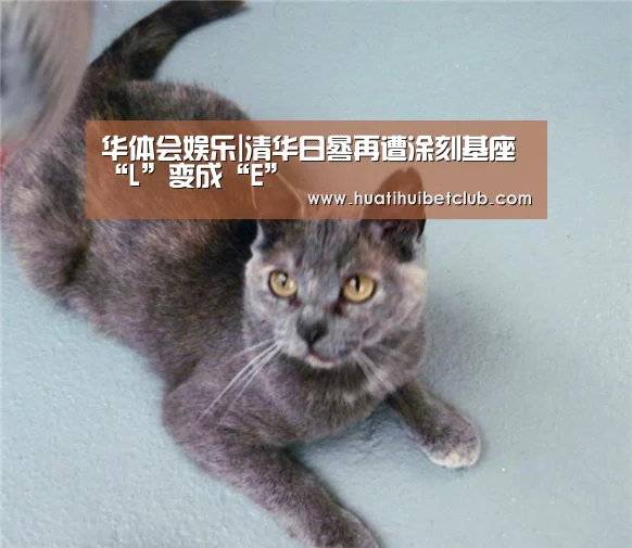 华体会娱乐|清华日晷再遭涂刻基座“L”变成“E”(图3) 华体会直播