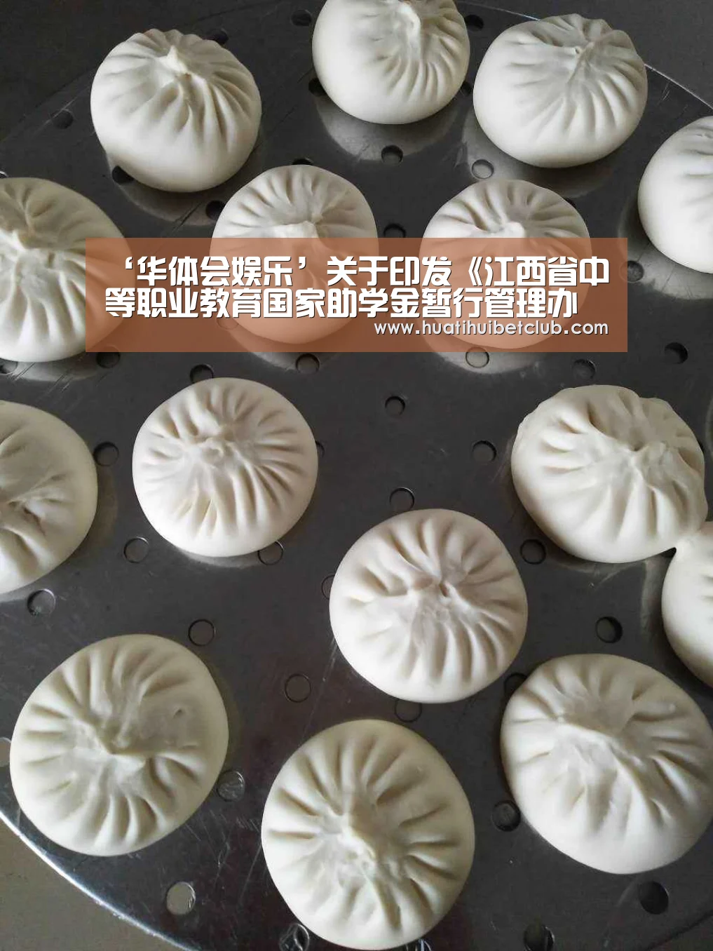 ‘华体会娱乐’关于印发《江西省中等职业教育国家助学金暂行管理办法》的通知(图1) 华体会娱乐
