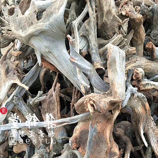 前瞻-中国女足抗澳或大轮换 奥预赛热身欲擒袋鼠|华体会体育(图2) 华体会体育