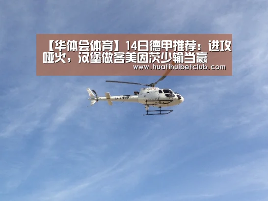 【华体会体育】14日德甲推荐:进攻哑火,汉堡做客美因茨少输当赢(图4) 华体会体育