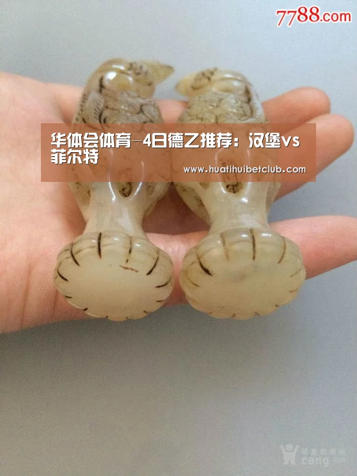 华体会体育-4日德乙推荐:汉堡vs菲尔特(图1) 华体会官网