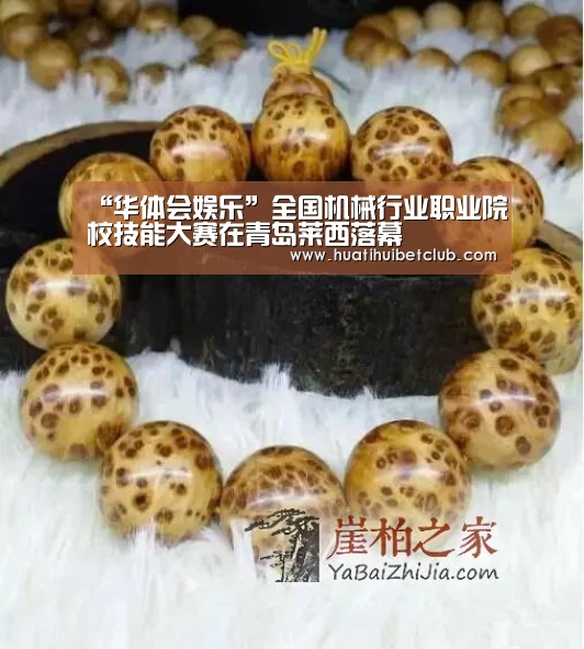 华体会娱乐