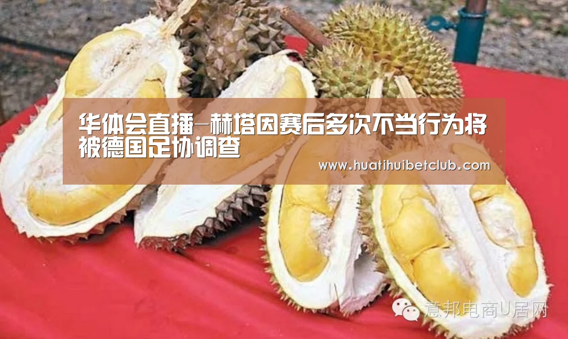 华体会直播-赫塔因赛后多次不当行为将被德国足协调查(图4) 华体会体育