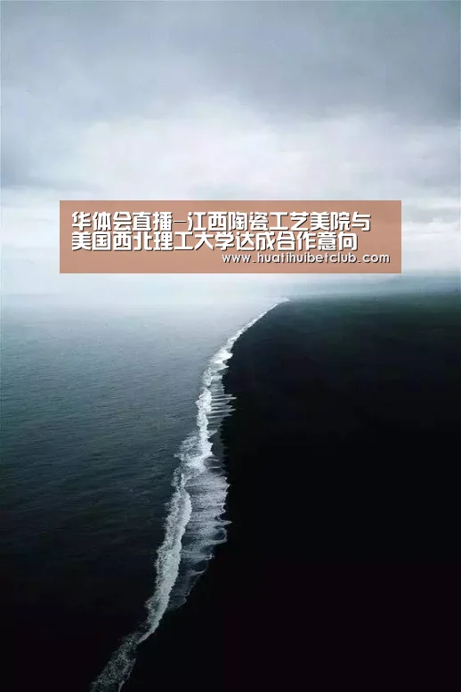 华体会直播-江西陶瓷工艺美院与美国西北理工大学达成合作意向(图3) 华体会官网