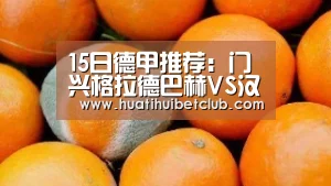 15日德甲推荐:门兴格拉德巴赫VS汉堡【华体会直播】(图3) 华体会官网