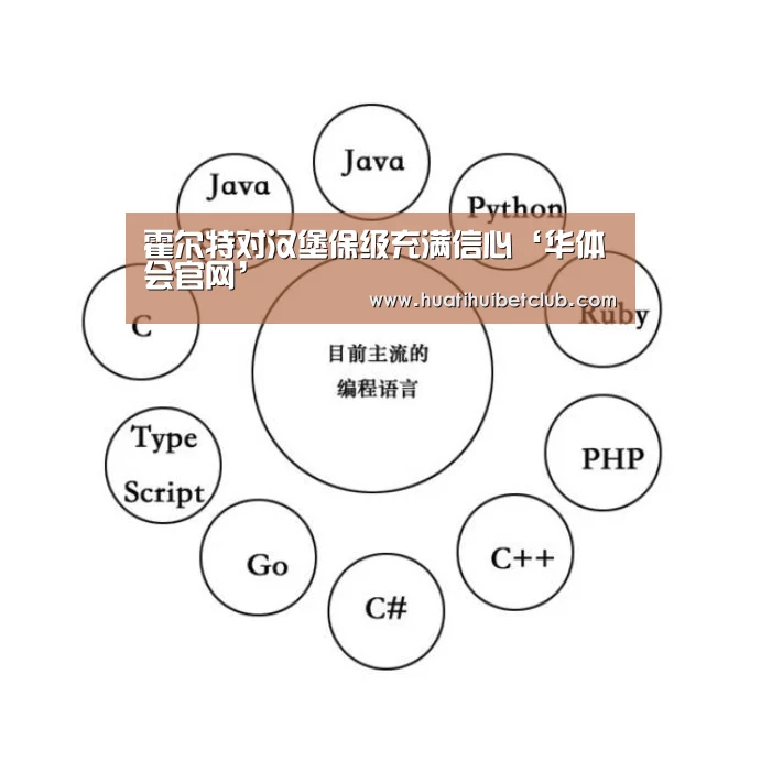 霍尔特对汉堡保级充满信心‘华体会官网’(图3) 华体会官网