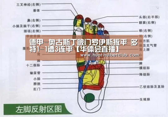 德甲-奥古斯丁破门罗伊斯扳平 多特1-1遭3连平【华体会直播】(图3) 华体会直播