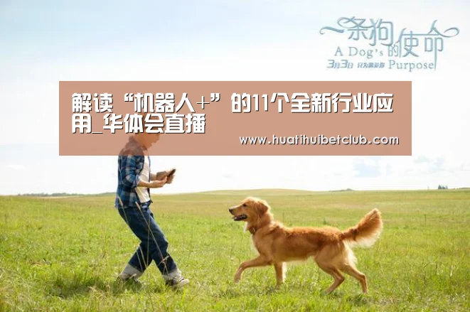解读“机器人+”的11个全新行业应用_华体会直播(图4) 华体会体育