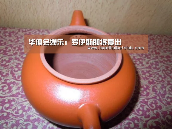 华体会娱乐:罗伊斯即将复出(图1) 华体会直播
