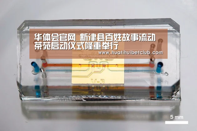 华体会官网_新津县百姓故事流动茶苑启动仪式隆重举行(图2) 华体会娱乐