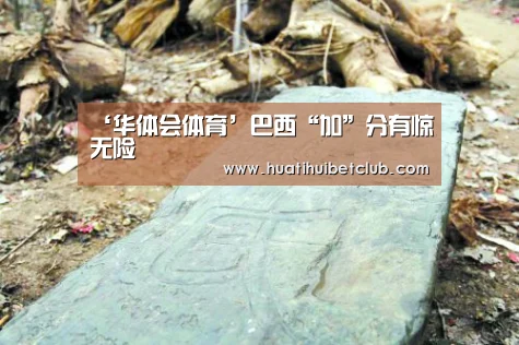 ‘华体会体育’巴西“加”分有惊无险(图2) 华体会直播