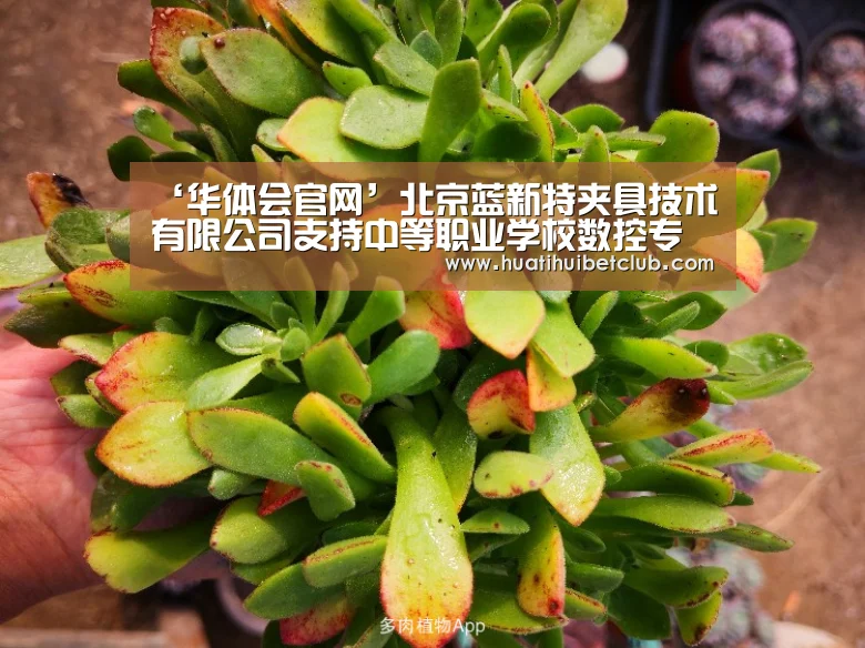 华体会娱乐